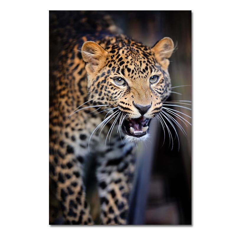 

Африканская картина с изображением животных, леопардовый постер, настенное искусство, холст, HD-печать для украшения гостиной, спальни, Cuadros 20x30cm