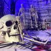 Halloween Decoration Props, Prank Supplies, DIY Skeleton Skeleton Human Skeleton
