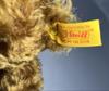 [USED] Steiff Teddy Bear 1905 Original 004865
