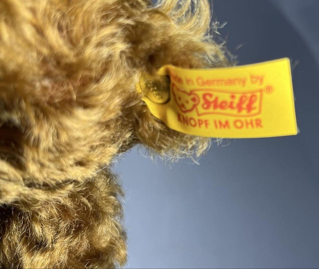 [USED] Steiff Teddy Bear 1905 Original 004865