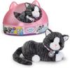 Doll Zapf Creation Baby Born My Cat Cookie