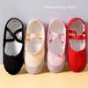 Soft Sole Ballet Dance Shoes 5 colors Adult Dance Slippers High Quality Ballerina Shoes  Children
