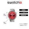 WYNPY SCARLET SHIMMER SB07S104G Grau [Swatch]