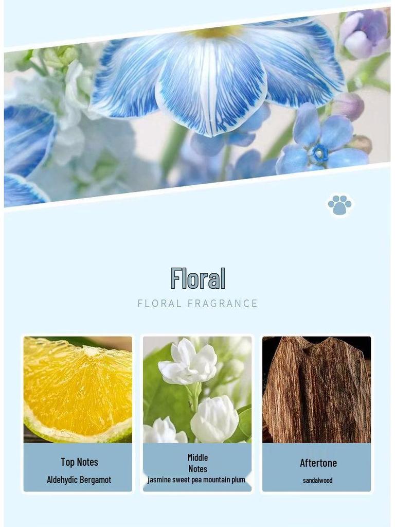 Trendy Sweetheart Era Cute Bear Perfume 25ml: Floral Fruity Lavender Long-Lasting Fragrance