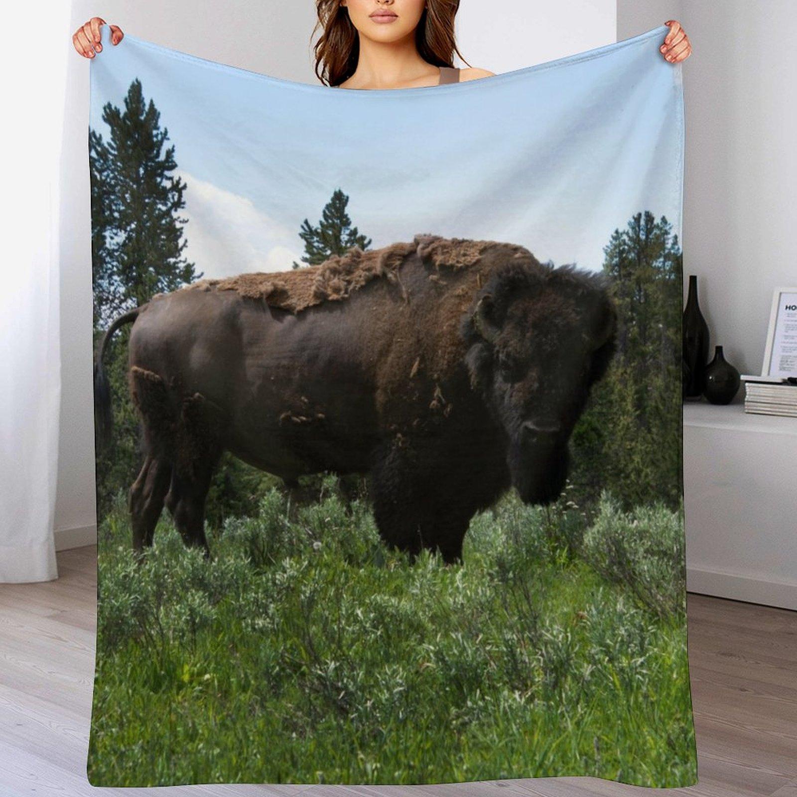 Buffalo Stare Down Throw Blanket Color Fast Cozy Throw Blanket Size: 75*100cm, Weight: 230 GSM