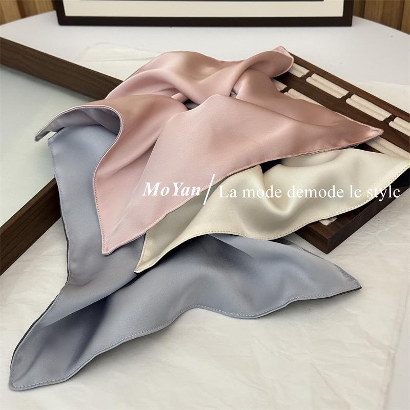 Premium Korean Satin Hair Tie & Scarf Set - Large Intestine Design 