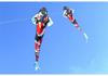 Large Chinese Style 3-Meter Koi Carp Kite with Long Tail - Easy to Fly in Light Breeze