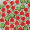 10 Pcs Mini Artificial Watermelon Slices Realistic Design For Dollhouse Decor Diy Crafts Jewelry Making