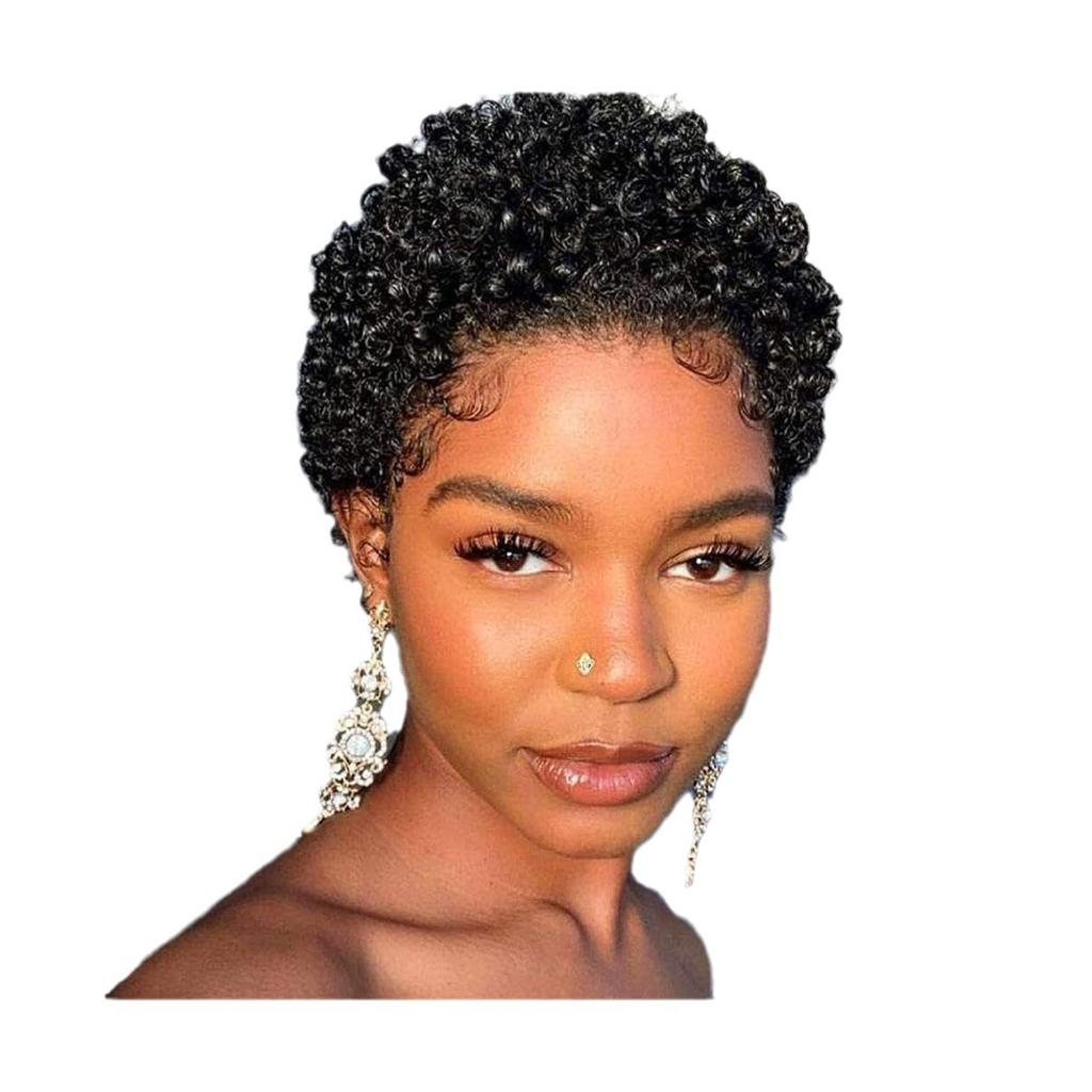 African Curl Fairy Short Synthetic Wig Curly Hair For Black Women Fashionable European Style Curly Hairpiece Perfect For Every Occasion