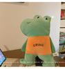 Quirky Black Dog Pillow, Cute Frog Plush, Yellow Duck Cushion for Sofa, Women’s Niche Doll Toy.
