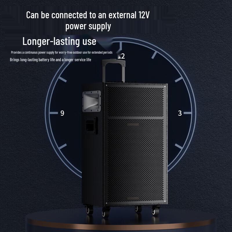 Newman N550 12-inch Outdoor Portable Bluetooth Speaker