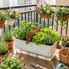 Thicken Hydroponic Plant Pots Self Watering Growing Box Plant Nursery Pot  Vegetable Gardening
