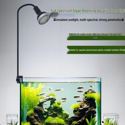 Fisk og sjødyr – Akvariumbelysning