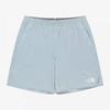 The North Face Ice Max Shorts Light Gray Ns6ns05l