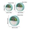Wall Mounted Plant Hanging Container Easy No Tool Setups Ideal For Green Decoration Vertical Gardening In Compact Area