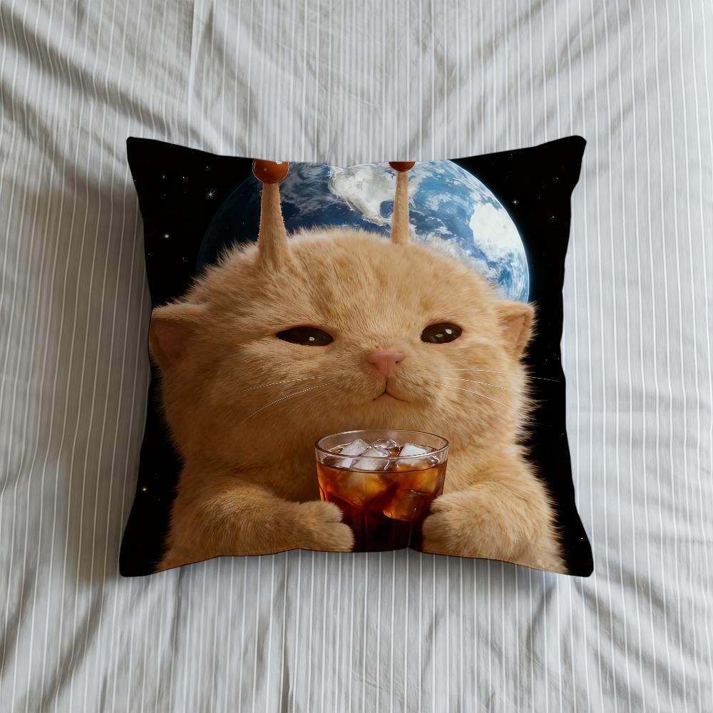 Cushion Cover Cute Earth Soft Case For Sofa Living Cat Room Home Comfortable Office Decor Space Protective Pillow Covers