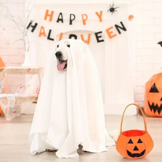 Halloween Pet Costume Scary Dog Cosplay Ghost Cloak Hood Outfit Breathable Festive Apparel for Halloween Christmas Masquerade