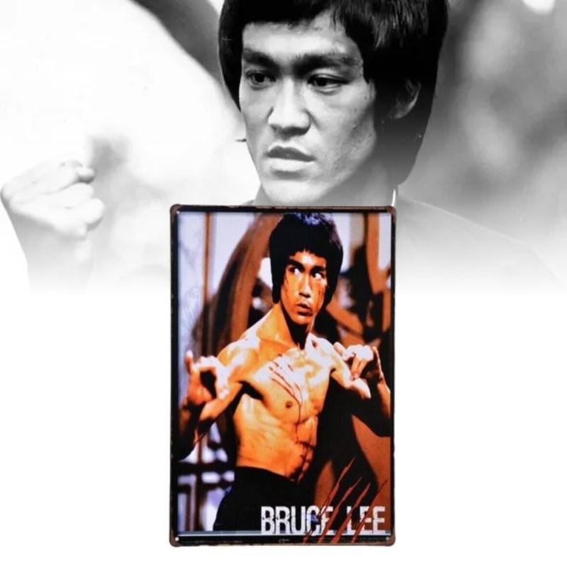 Vintage Zorro Retro Metallschild Für Einzigartige Heimdekoration Perfekt Für Bars Und Ktv