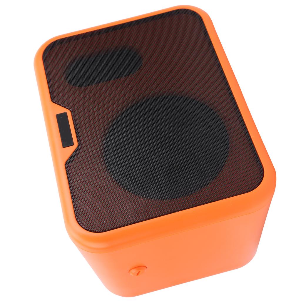 Portable Speaker Sound Box Acoustic Amp Dual Channel for Wooden Folk Guitar 110‑240V