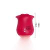 Silicone Vibrator, Nipple Clitoris Anal Stimulation Massager 10 Vibration Modes Unisex Adult Sexy Toys, Sex Toy For Ladies
