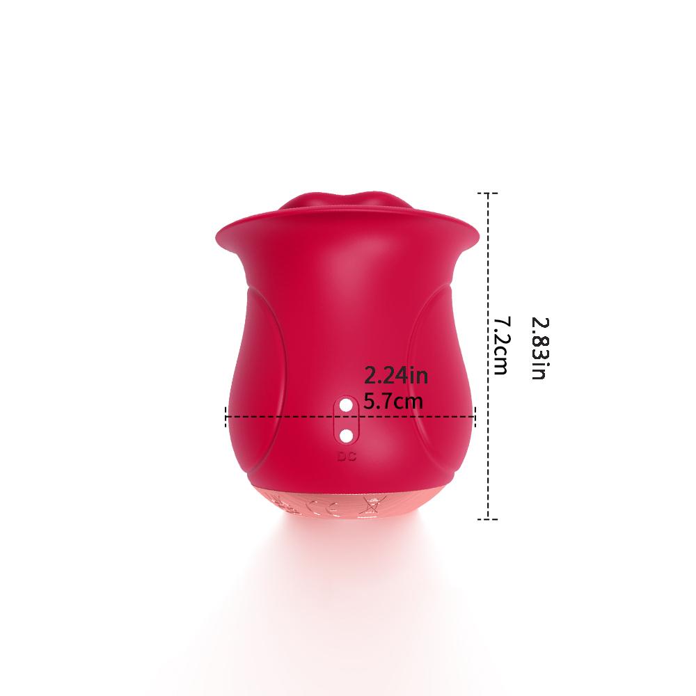 Silicone Vibrator, Nipple Clitoris Anal Stimulation Massager 10 Vibration Modes Unisex Adult Sexy Toys, Sex Toy For Ladies