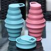 Lishi Foldable Silicone Sports Bottle