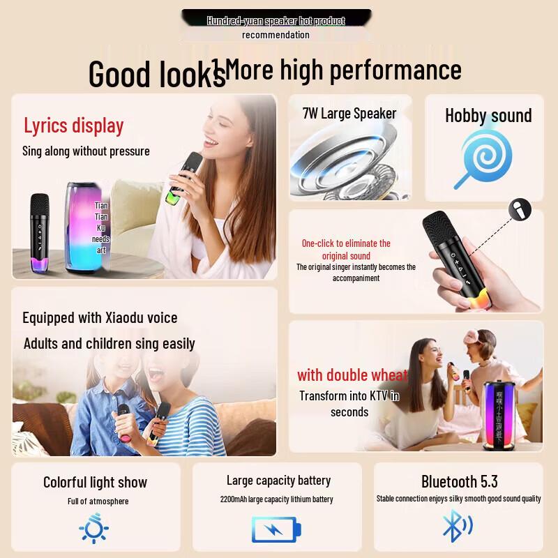 Newmine K191mini Wireless Karaoke Speaker with Dual Microphones CN plug (adapter included)
