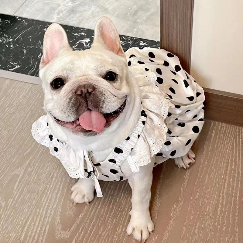 French Dou Skirt Bug Short Fat Dog Spring and Autumn Cool and Cute Cartoon Small Polka Dot Vest Gauze Skirt Comfortable Special