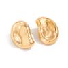 Wind Texture Metal Pleated Stud Earrings Design Sense Geometric Hollow Spiral Earrings