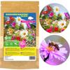 Arpon Flower Meadow Mix 100G