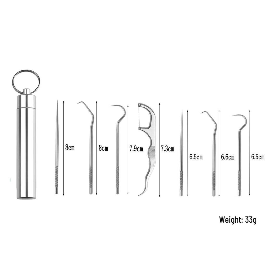 Portable 304 Stainless Steel Toothpick Set with Storage Tube for Oral Care