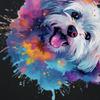Funny Colorful Maltese Splash Art Dog Graphic T-shirts Men Women's Fashion Casual Tshirt 100% Cotton Loose Oversized T Shirt