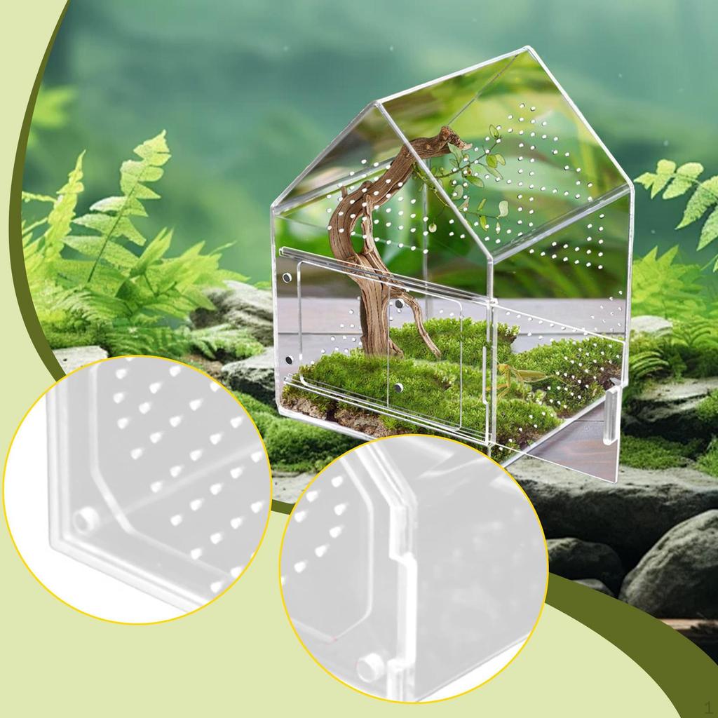 for Jumping Spiders Box Acrylic Terrarium with Ventilation Holes Panoramic Observation Suitable