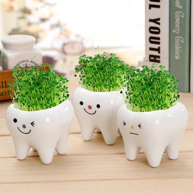 Cute Tooth Flowerpots - Ceramic Garden Pots Planters, Succulent Cactus Vases, Home Garden Decorative Tabletop Plant Pot