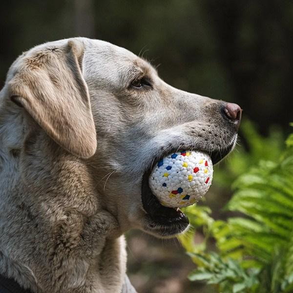 Dingdong Pet Dog Terrazzo Ball Toy M, Red + Yellow + Blue, 2pcs