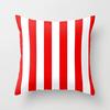45X45CM Geometric Abstract Janet Office Cushion Pillow Case Car  Cover Waist