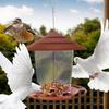 Outdoor Wild Bird Feeder Automatic Garden Bird Feeder Hanger Multi-Purpose Bird Feeder For Patio Fence Courtyard Garden Balcony
