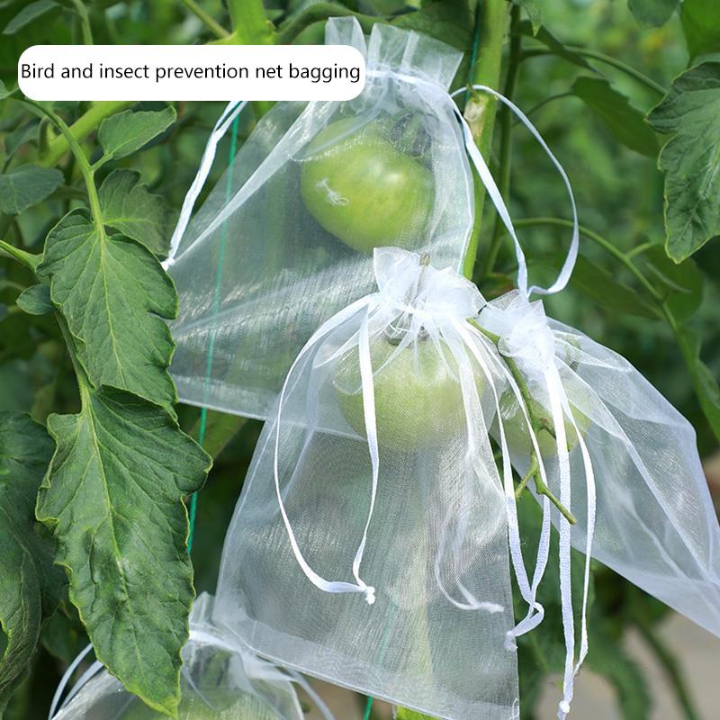 50Pcs Grapes Fruit Protection Bags Pest Control Anti-Bird Mesh Garden Netting Bags Agricultural Tree Garden Tool Bags