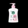 Dettol Kids' Moisturizing Antibacterial Hand Wash Refill 250g