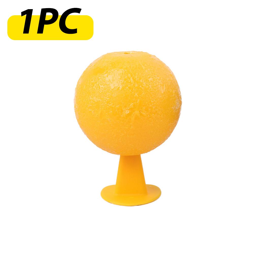 Indoor Flying Insect Catcher,Sticky Trap Balls for Fruit Flies,Gnats,Mosquitoes,Safe Non-Toxic,Place Near Plants,Trash Can,Window,Home,Office Use