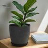 Funktionale Pflanzgefäße für das Wohnzimmer Moderner Blumentopf mit Untersetzer, Grau Blume Große Harzbehälter Entwässerungslöcher, Steinoptik Pflanzgefäß Innen Außen