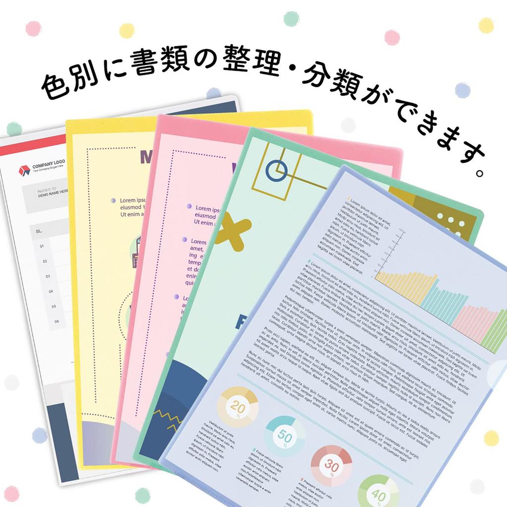 LIHIT LAB Clear File 100 A4 Folder, sheets, size, Green, G6100-19