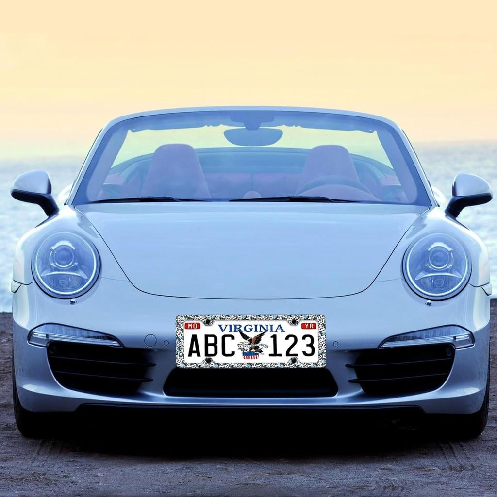 Blue Butterflies Leopard Print Cute License Plate Frames 4 Holes, Stainless Steel Personalized License Plate Cover Holder Car Accessories Decor With