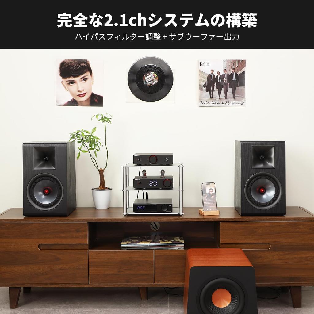 AIYIMA A20 Stereo HiFi Fully Balanced PFFB Power HPF Filter LME49720 x 2 NE5532 x 12V Trigger 48V 5A GaN Power Adapter Included for Home Audio Systems