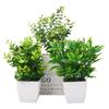 Simulated Plant Decorative Potted Plants, Indoor Desktop Simulated Green Plant Ornaments, Plastic Plant Potted Plants