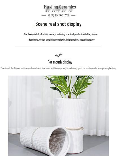 Large Ceramic Flower Pot with Tray for Indoors/Outdoors, Suitable for Succulents & Green Plants