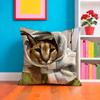 Floppa Cat Meme Cushion Cover Plush Fabric Soft Double-Sided Printed Sofa Warm Winter Home Gift Pillow Case