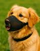 Breathable Anti-Bite, Anti-Bark, Leak-Proof Dog Muzzle