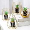 Iron Handicrafts Nordic Creative Luxury Simulation Plant Ornaments Flower Pots Desktop Potted Plants Home Decoration Ornaments