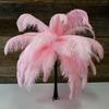 10Pcs/Lot Pink Ostrich Feather 15-60cm Natural Plumes for Wedding Party Carnival Decoration Craft Plumes Table Centpiece Accesso